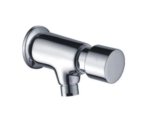 Short Hand-push Wall Mounted Self Closing Faucet