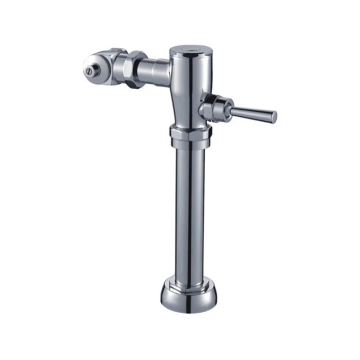 Flushometer Leithris Closet Uisce Nochta